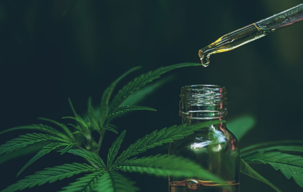 cbd oil